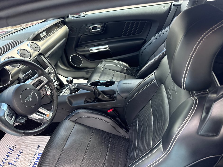 2015 Ford Mustang EcoBoost Premium 50th  anniversary edition This 50th anniversary edition convertible is in mint condition