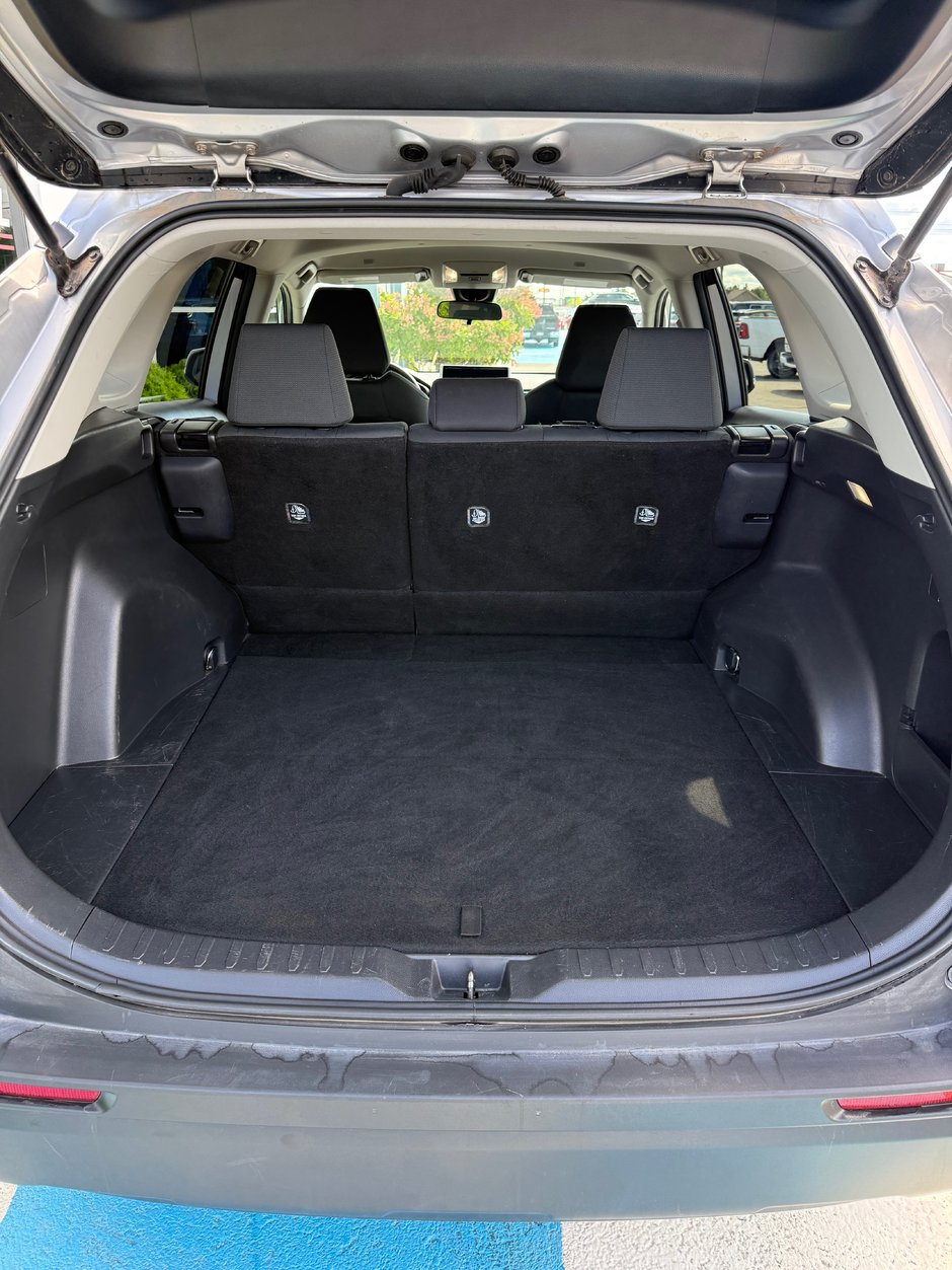 2024 Toyota RAV4 LE AWD