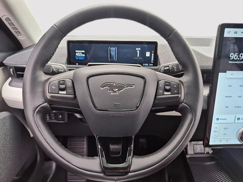 Ford Mustang Mach-E PREMIUM 2022-10