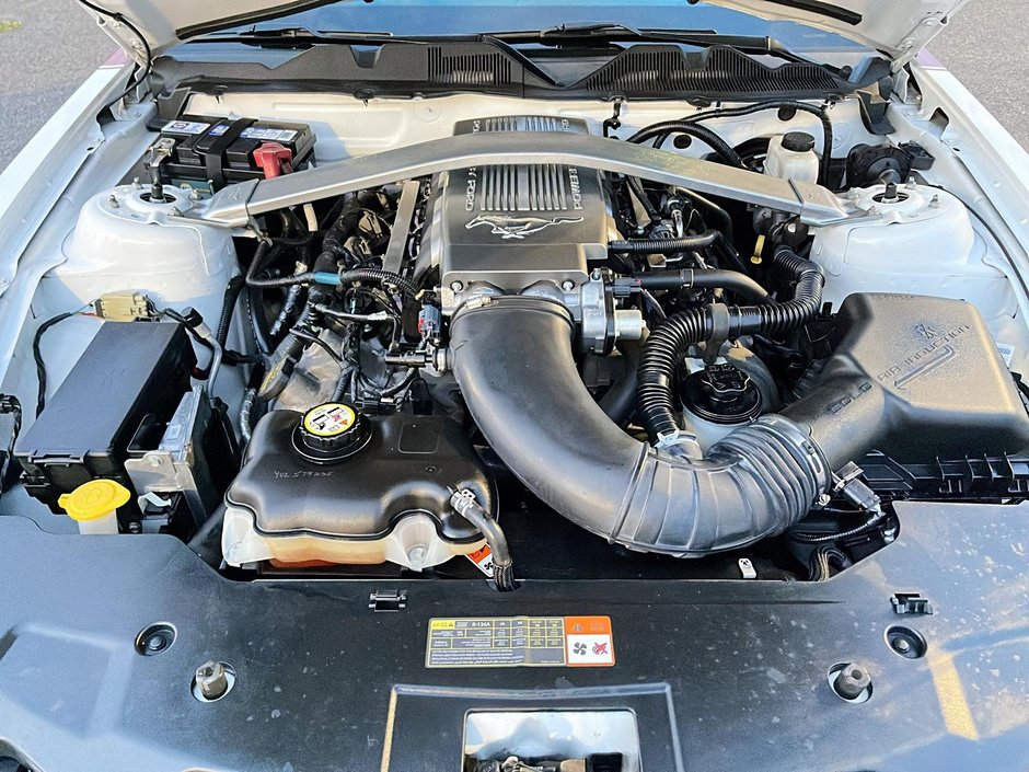 Ford Mustang GT CONVERTIBLE 2010-10