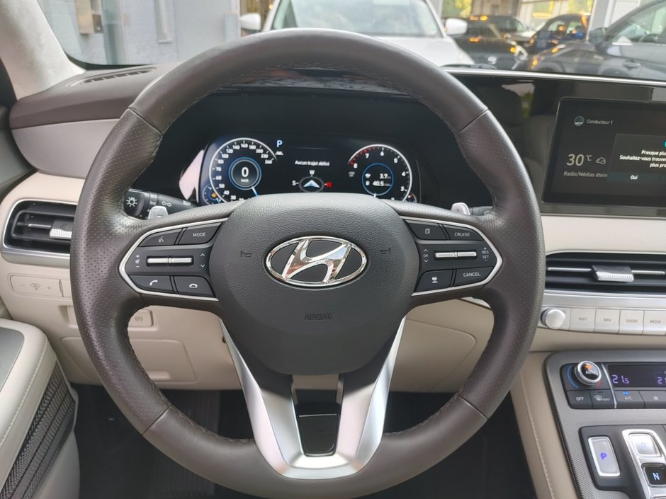 Hyundai Palisade Ultimate Calligraphy 2021-9