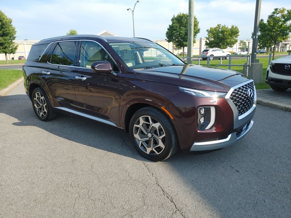 2021 Hyundai Palisade Ultimate Calligraphy-6