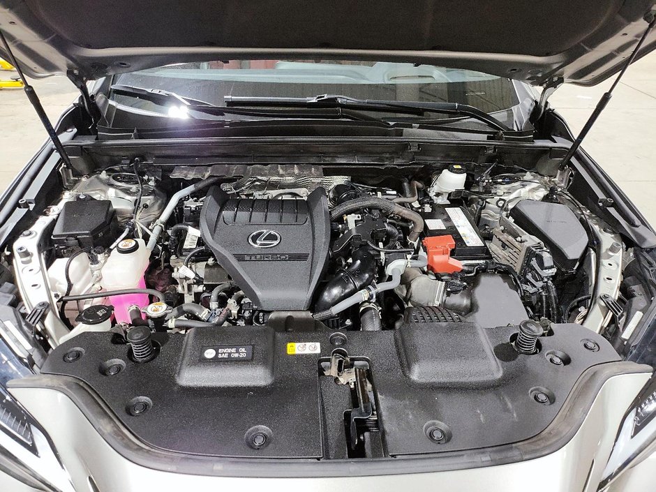 2022 Lexus NX 350-7
