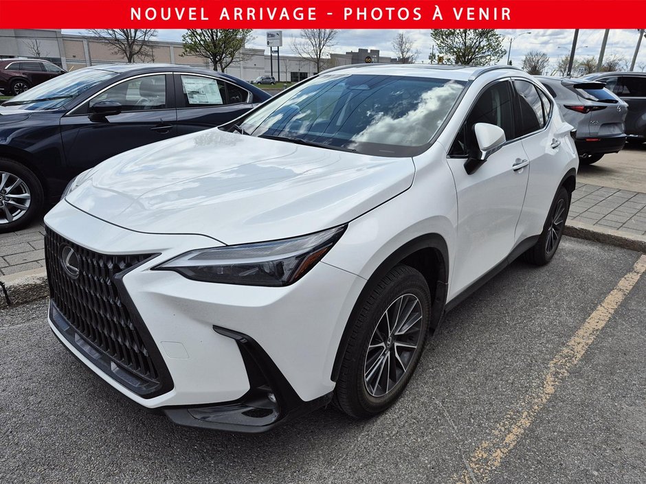 Lexus NX 350h 2025-0