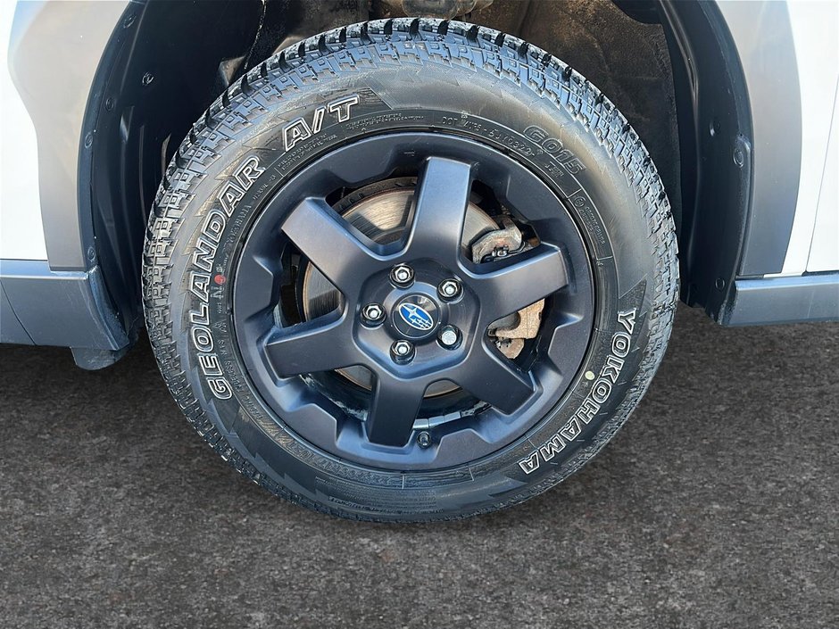 2023 Subaru Outback Wilderness AWD-6