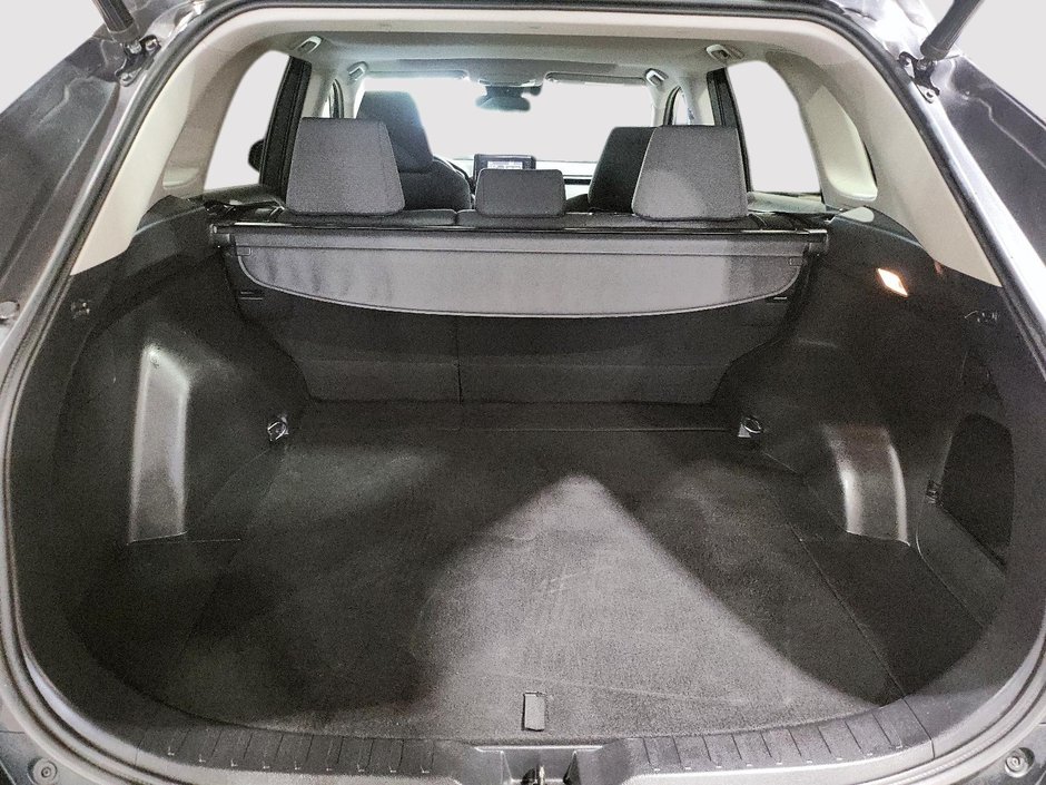2020 Toyota RAV4 XLE AWD-5