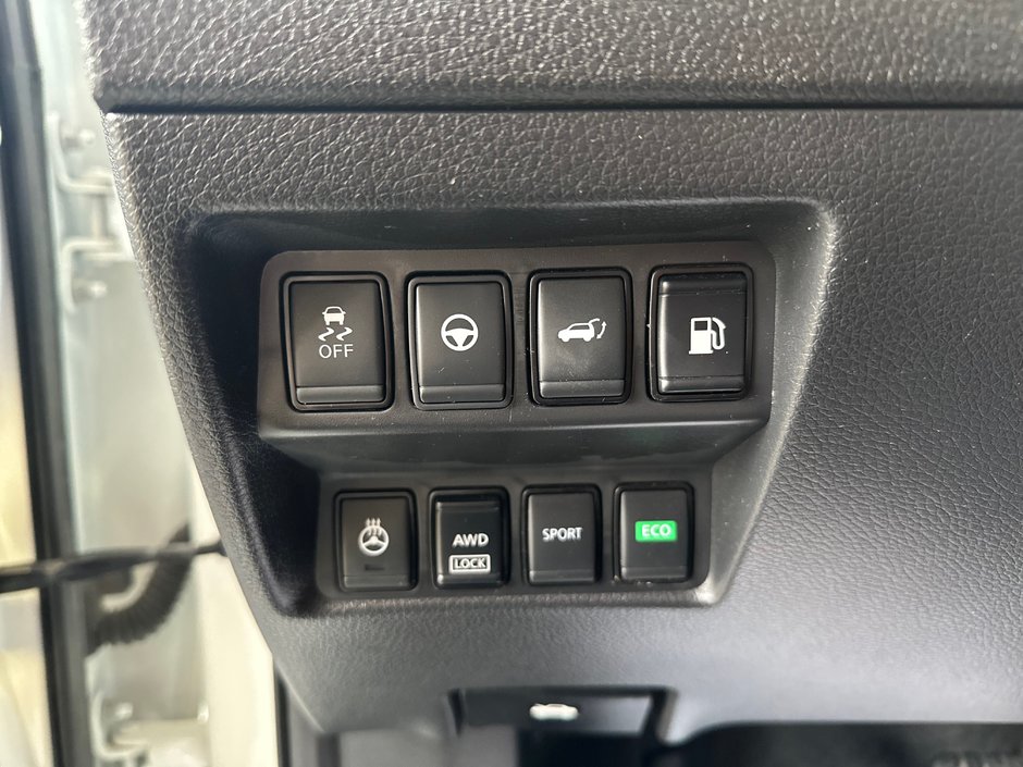 Nissan Rogue SL Platinum AWD 2019-22