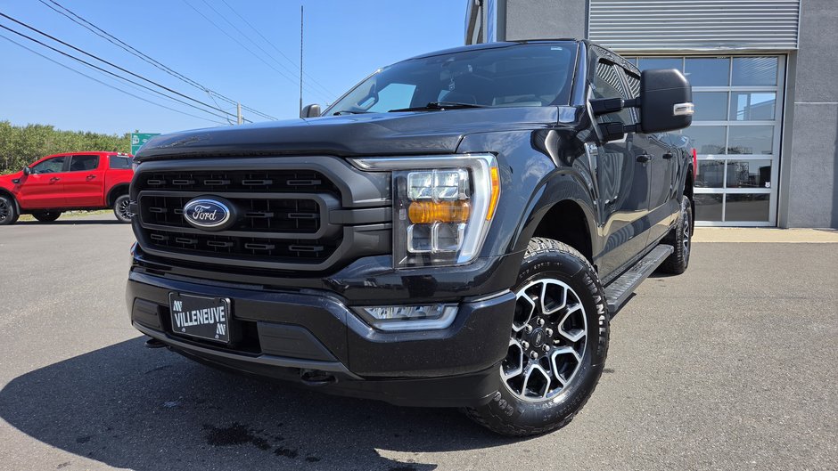 Ford F-150 XLT  302A  TOIT PANORAMIQUE 2023 à Matane, Québec