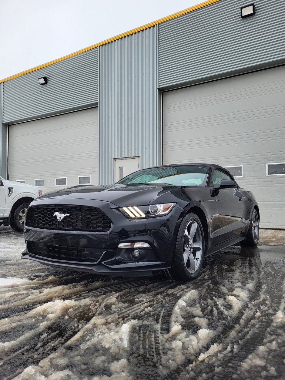 Ford Mustang V6 Convertible 2017 à Matane, Québec