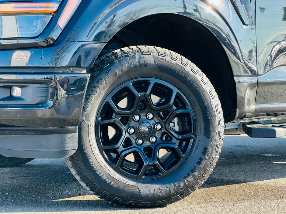 Ford F-150 XLT 2024-5