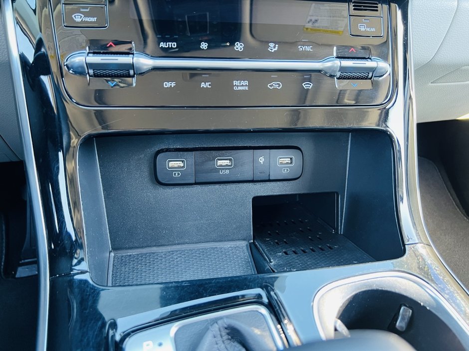 2022 Kia Carnival SX-59