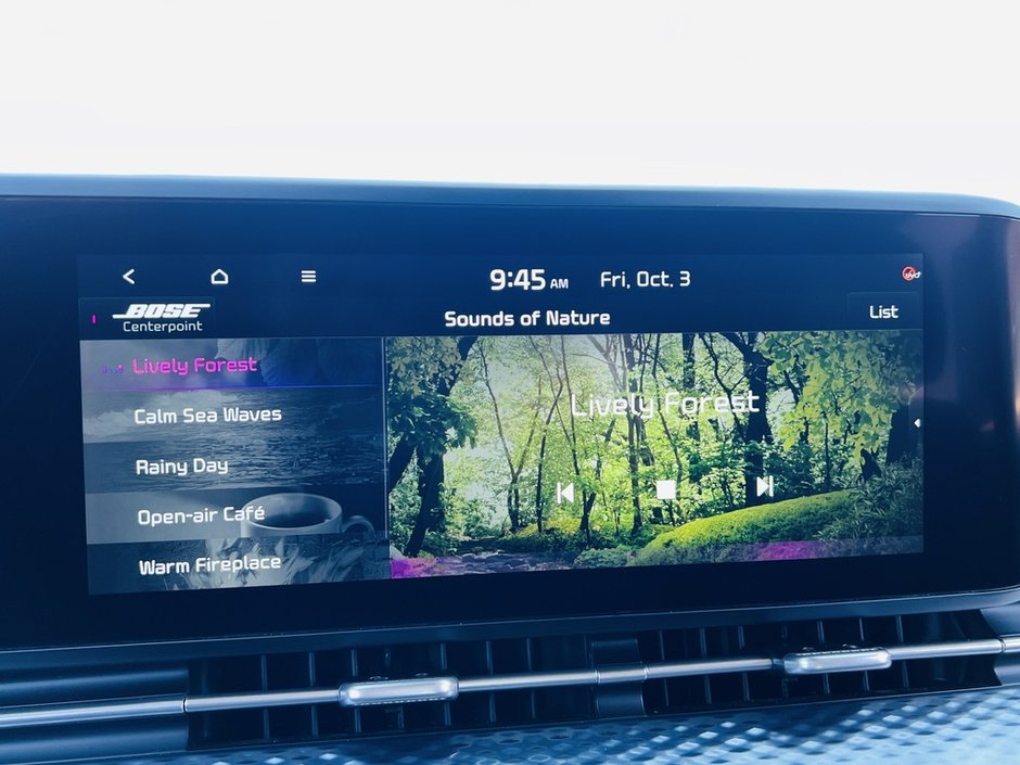 2022 Kia Carnival SX-31