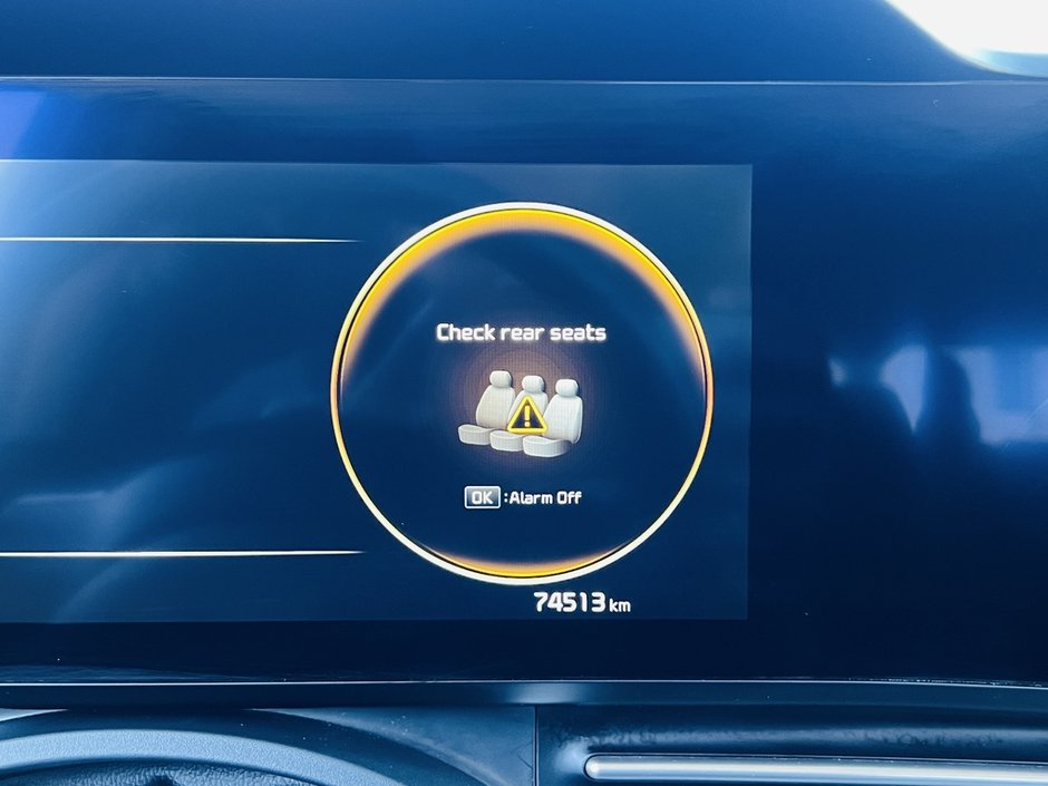 2022 Kia Carnival SX-23