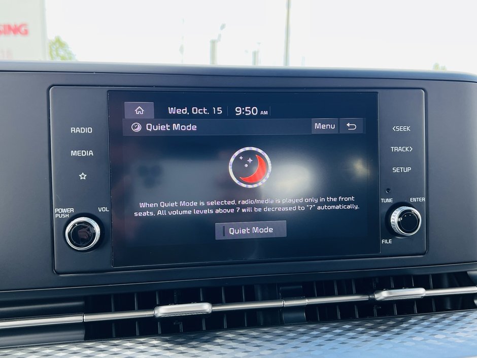 2022 Kia Carnival LX 3.5L-30