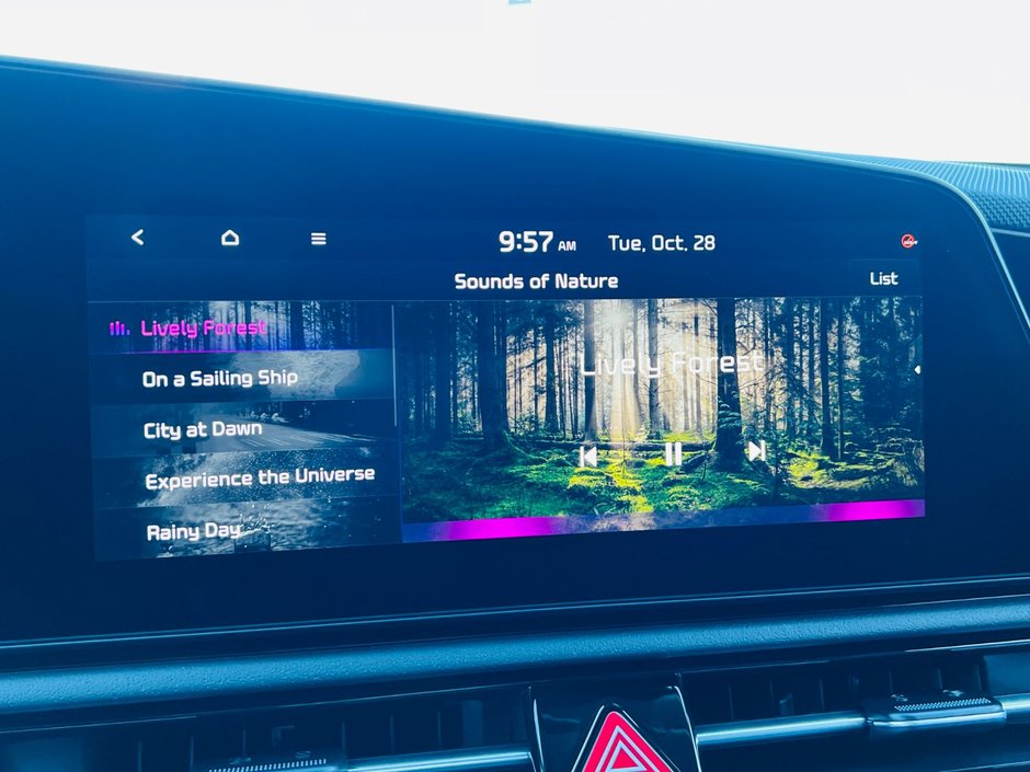 Kia Niro EV Wave 2026-33