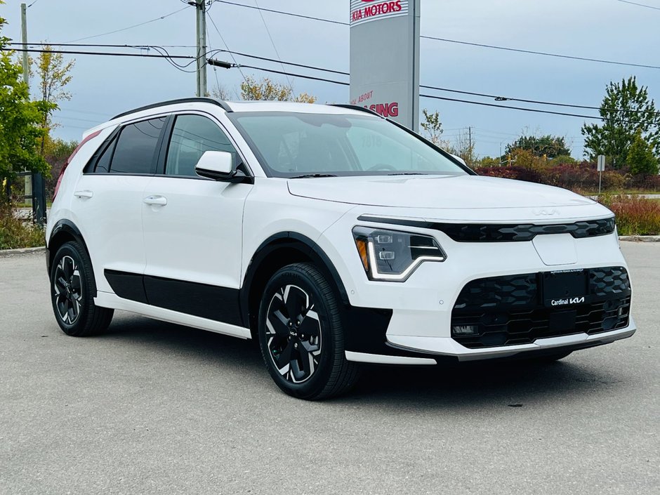 Kia Niro EV Wave 2026-3