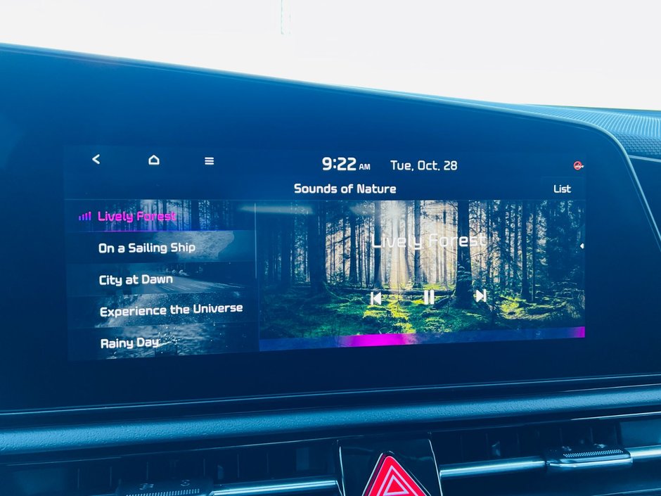 Kia Niro HEV EX Premium 2026-29