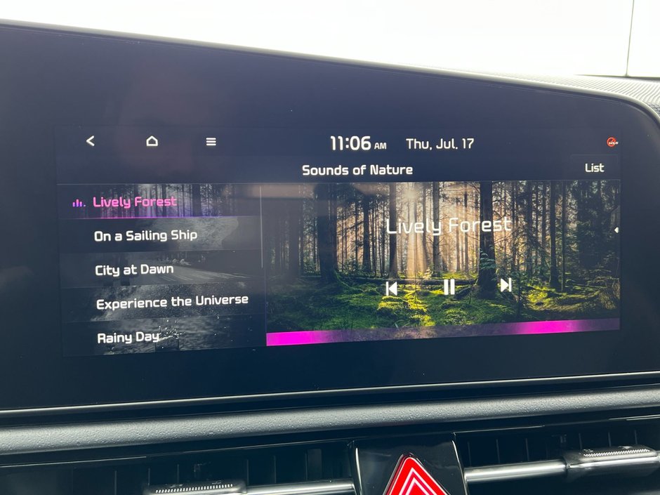 Kia Niro PHEV EX 2025-36