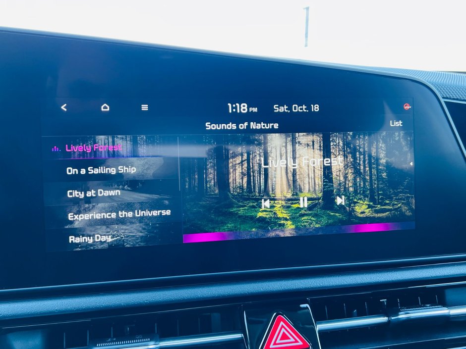 Kia Niro PHEV EX 2026-30