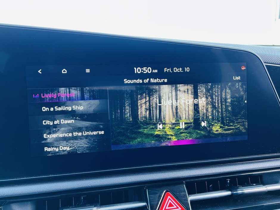 2025 Kia Niro SX HEV-32