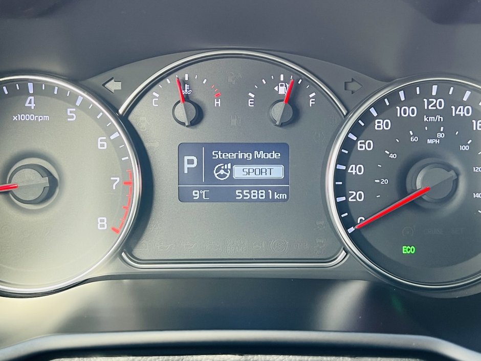 2016 Kia Rondo EX-17