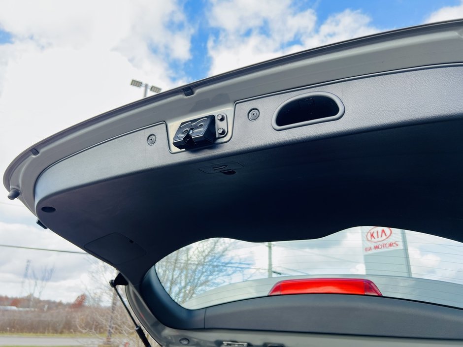 2016 Kia Rondo EX-38