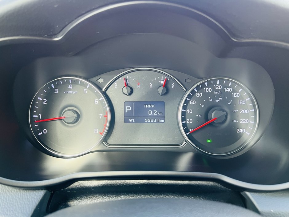 2016 Kia Rondo EX-14