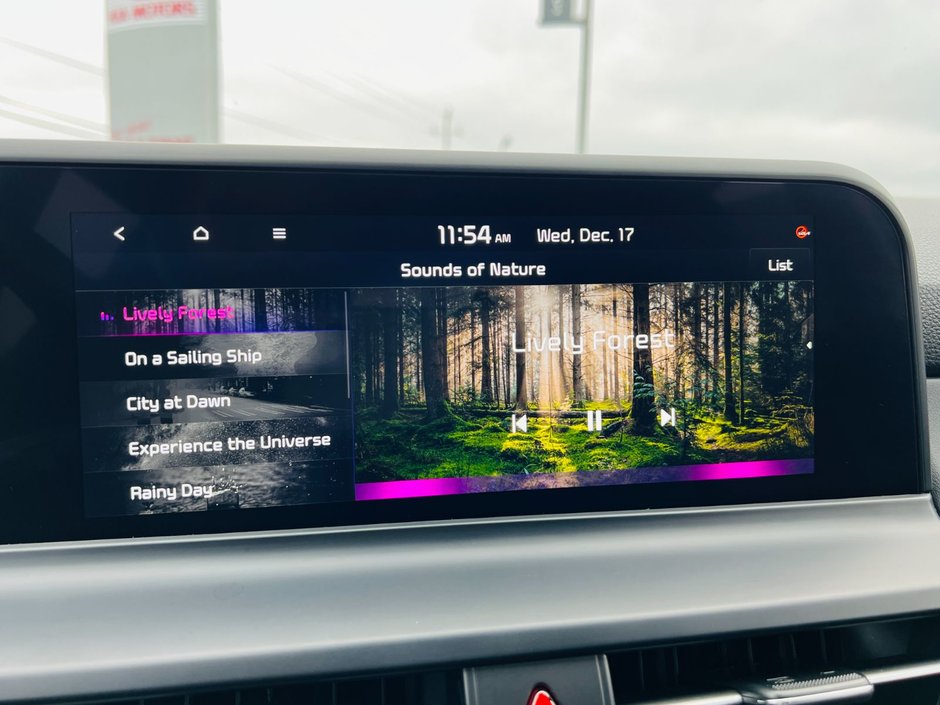 2024 Kia Seltos EX Premium AWD-35