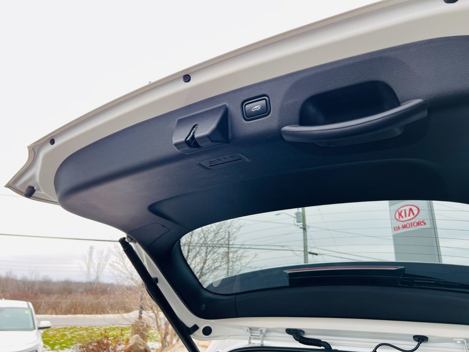 2024 Kia Seltos EX Premium AWD-66