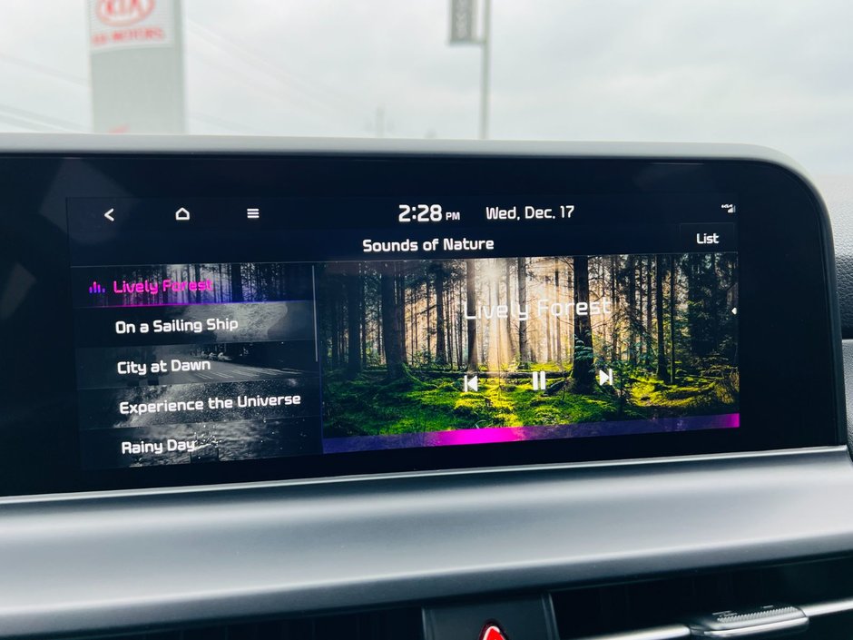 Kia Seltos EX Premium AWD 2025-32