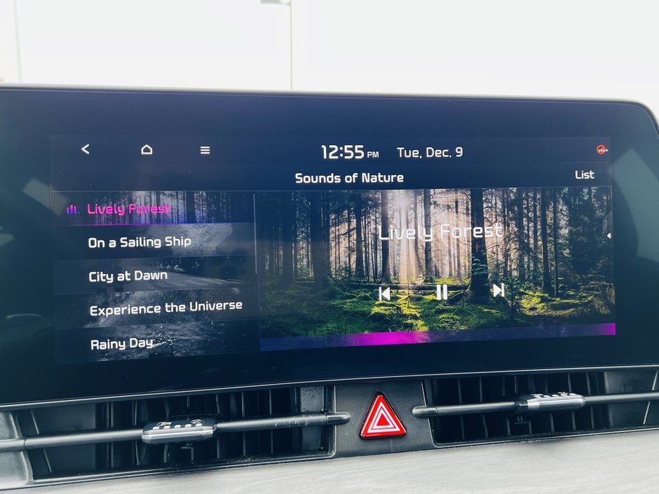 Kia Sportage X-Line Limited 2023-41