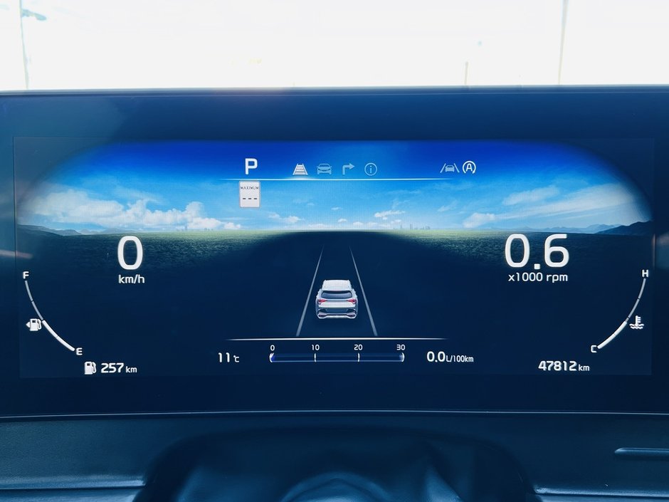 2024 Kia Sportage X-Line Limited AWD-21