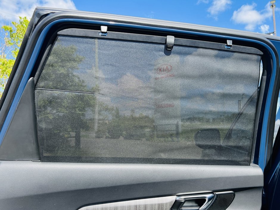 Kia Telluride SX 2024-71