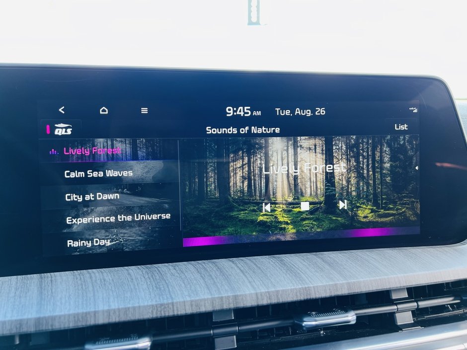 Kia Telluride SX 2024-36