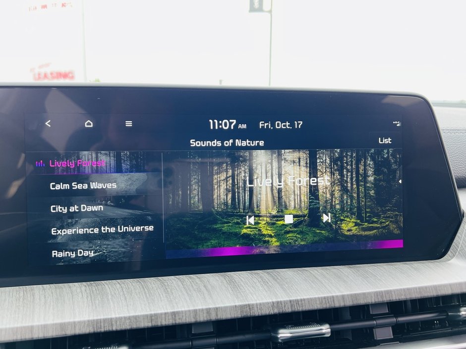 2024 Kia Telluride EX-35