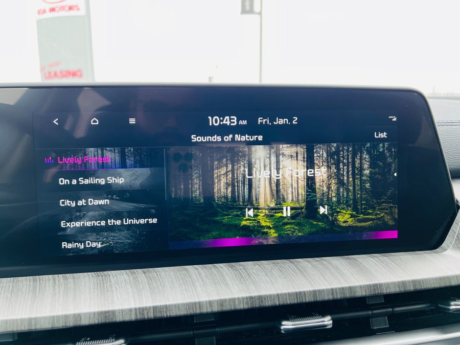 Kia Telluride EX AWD 2025-35