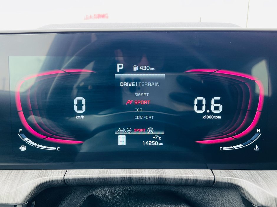 Kia Telluride EX AWD 2025-19