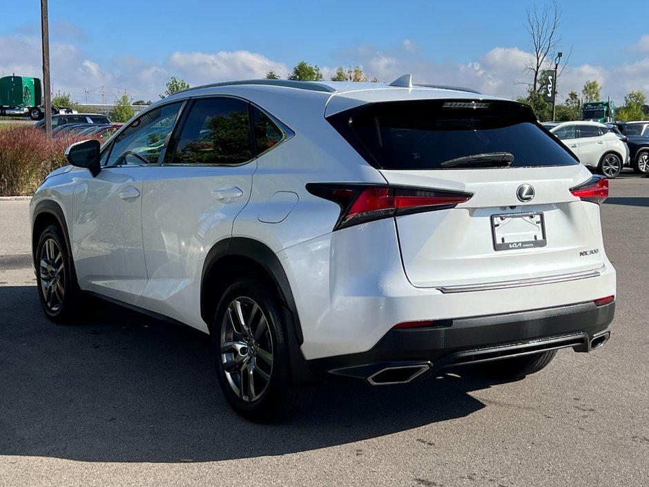 2020 Lexus NX 300-1