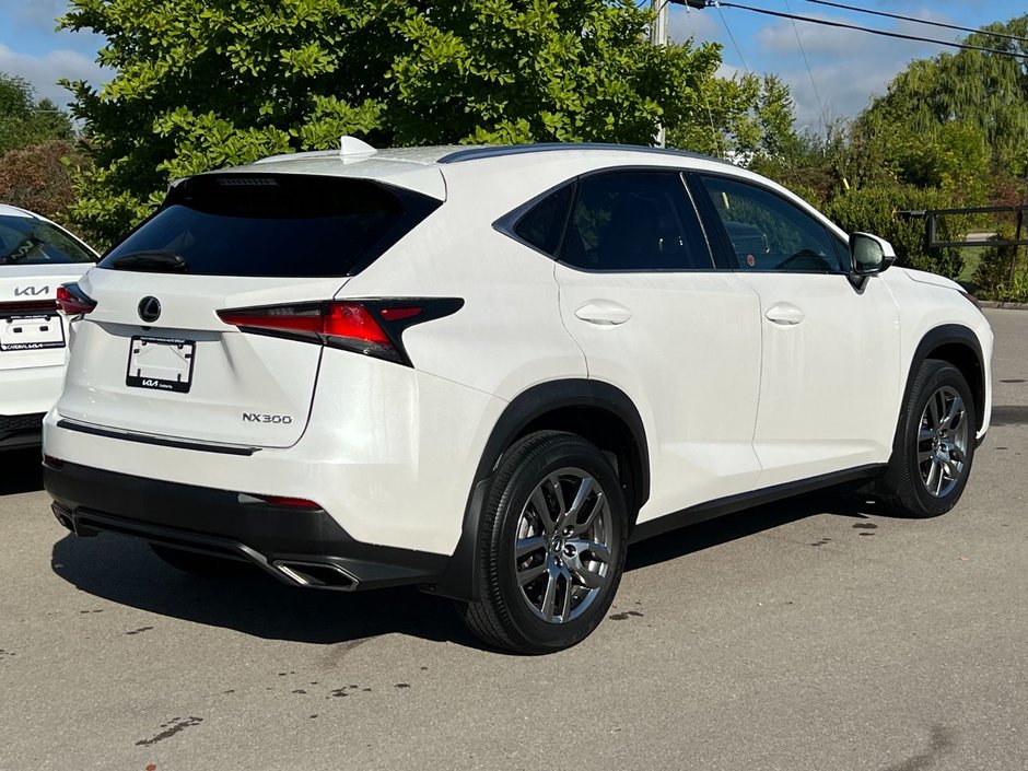 2020 Lexus NX 300-2