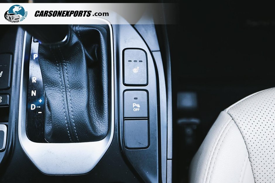 2019 Hyundai Santa Fe XL Luxury-39