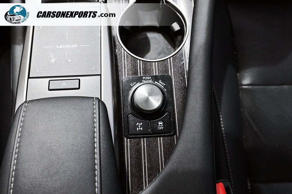 2021 Lexus RX 350L-25