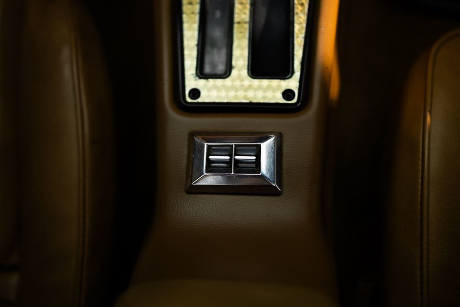 1978 Pontiac Firebird Trans Am-46