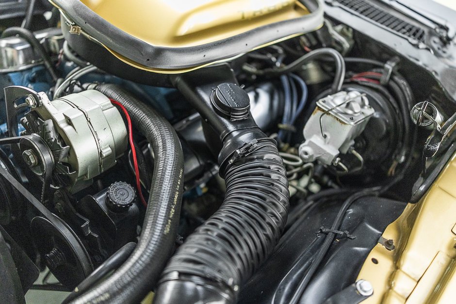 1978 Pontiac Firebird Trans Am-19