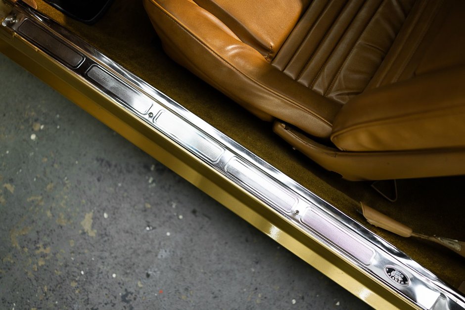 1978 Pontiac Firebird Trans Am-31