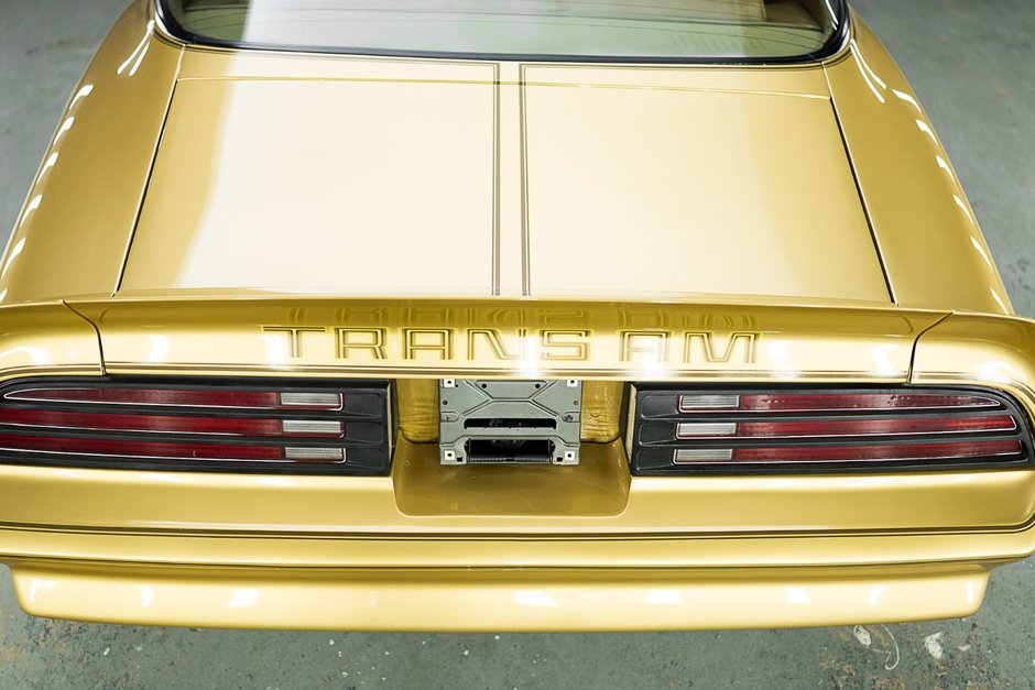1978 Pontiac Firebird Trans Am-13