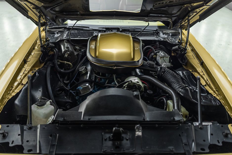 1978 Pontiac Firebird Trans Am-15