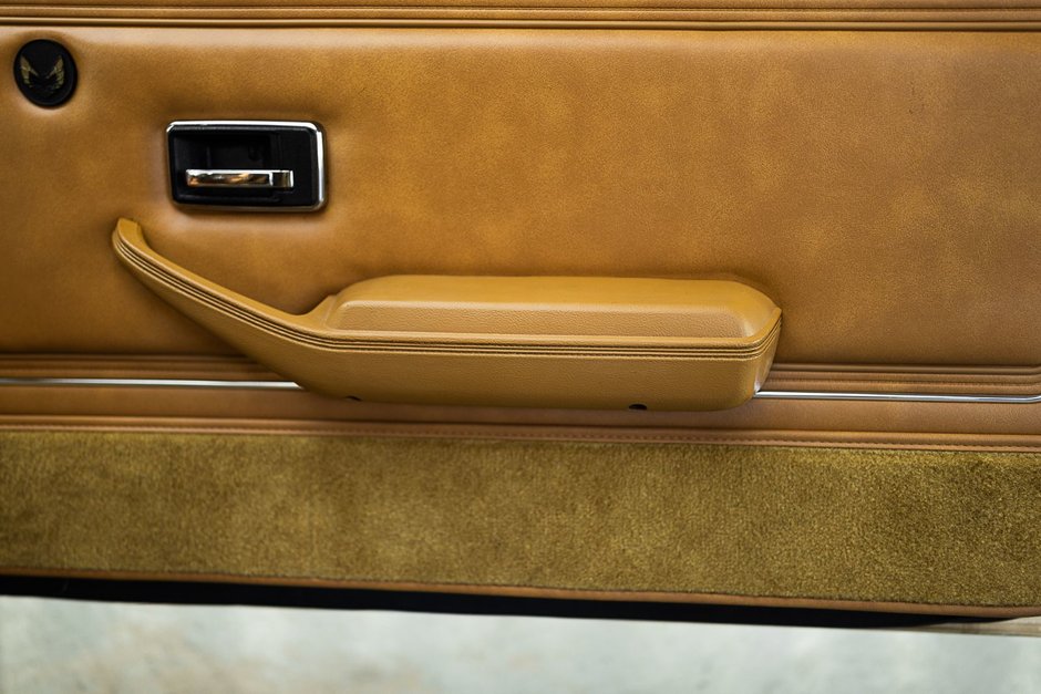 1978 Pontiac Firebird Trans Am-38