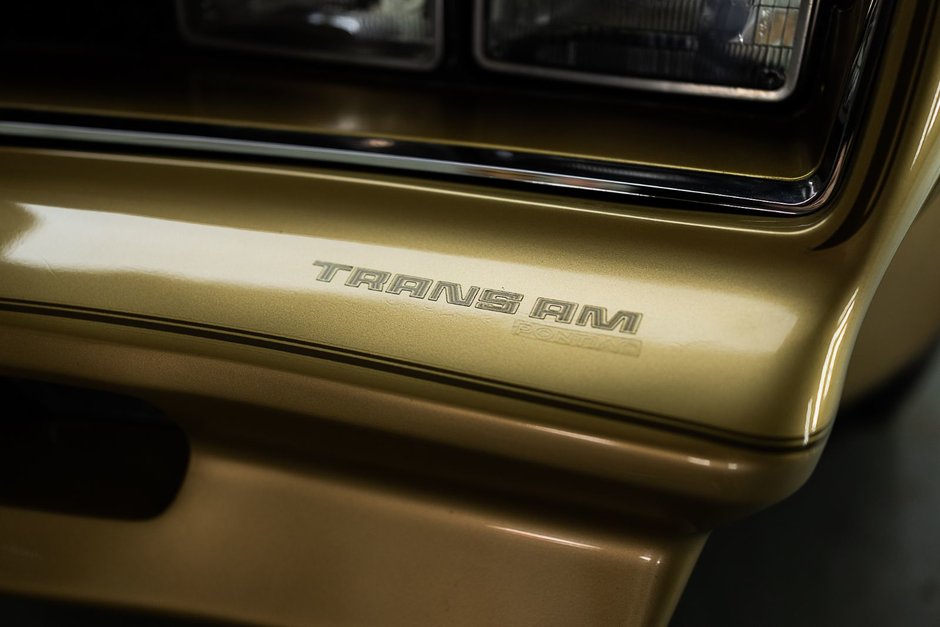 1978 Pontiac Firebird Trans Am-6