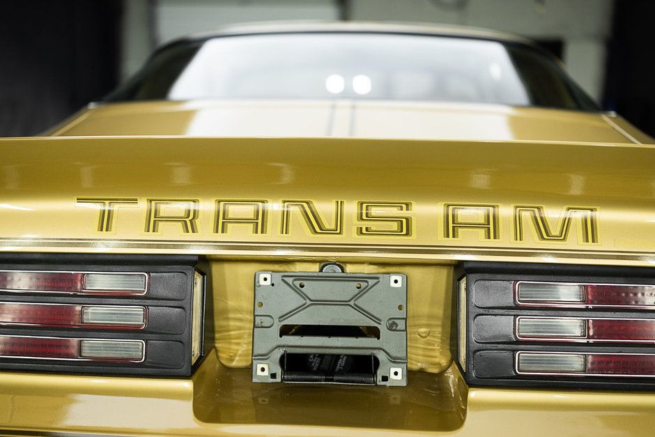 1978 Pontiac Firebird Trans Am-14