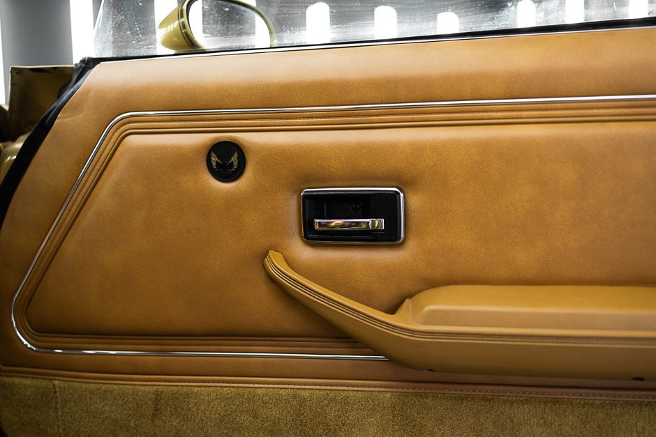 1978 Pontiac Firebird Trans Am-39